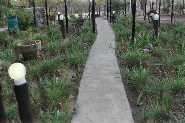 Hotel Tshimologo Farm Guest House (Francistown)